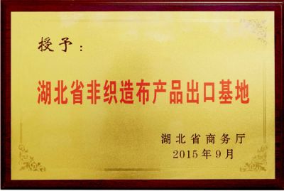湖北省非织造布产品出口基地